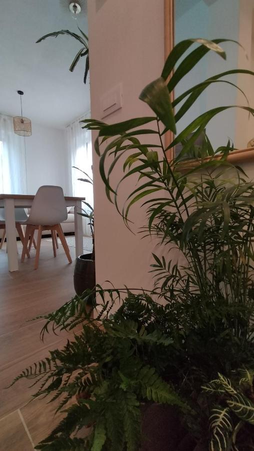 Valtellina Vacanze Sondrio Exteriör bild