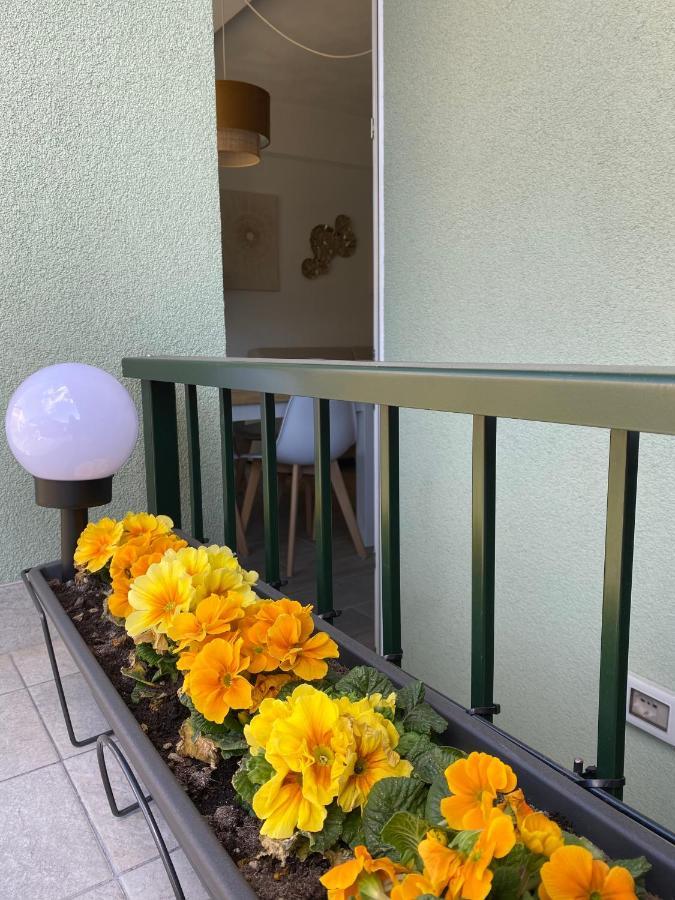 Valtellina Vacanze Sondrio Exteriör bild